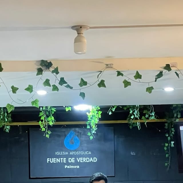 Foto de Fuente de Verdad palmira