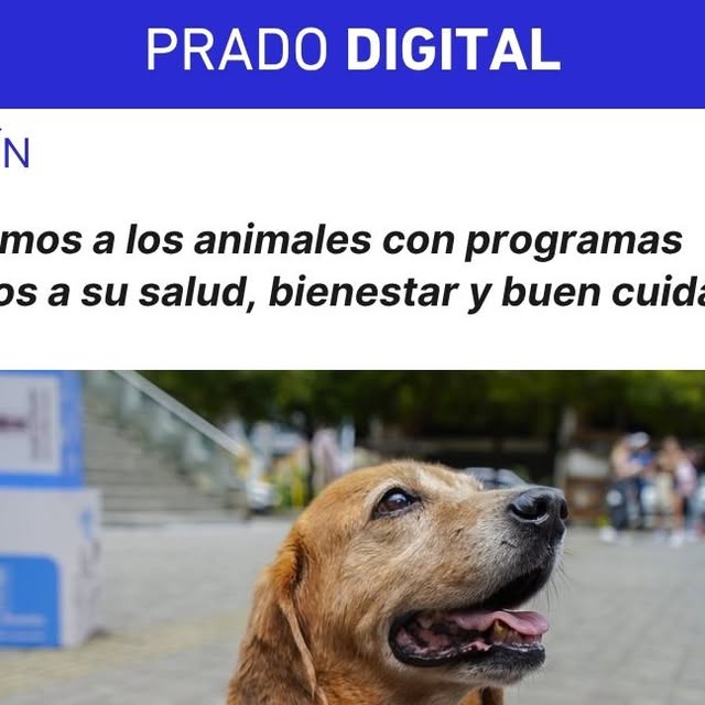 Foto de Fuente de Verdad medellin-san-antonio-de-prado